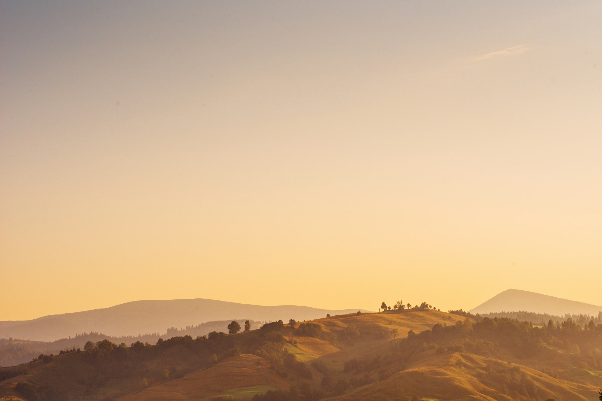 Therapist serving individuals, couples, and families in Provo, Utah